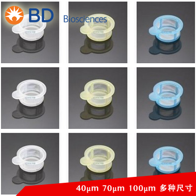 BD细胞筛网40um细胞过滤网352340